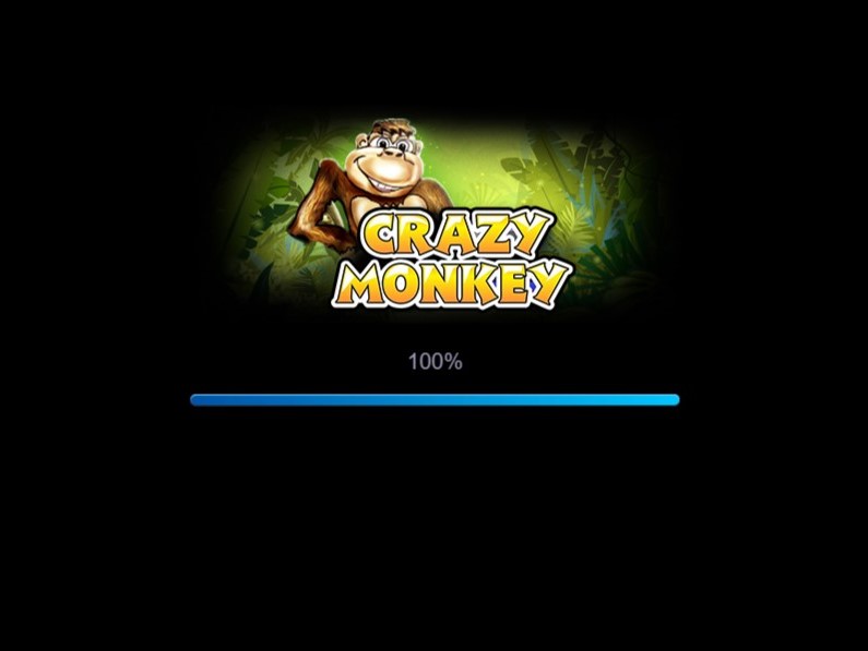 Crazy Monkey Crazy Monkey